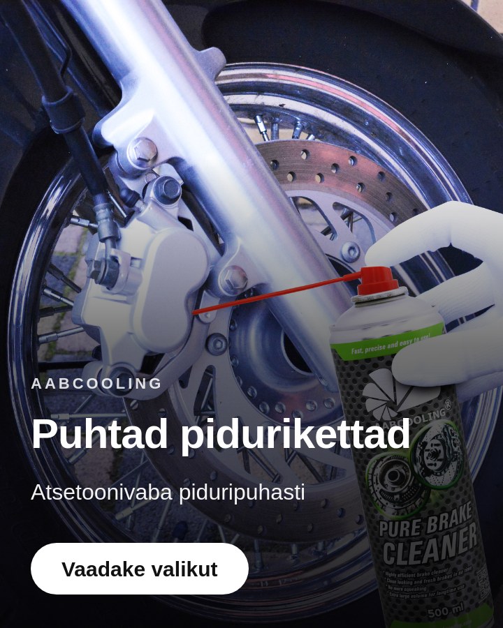 Puhtad pidurikettad